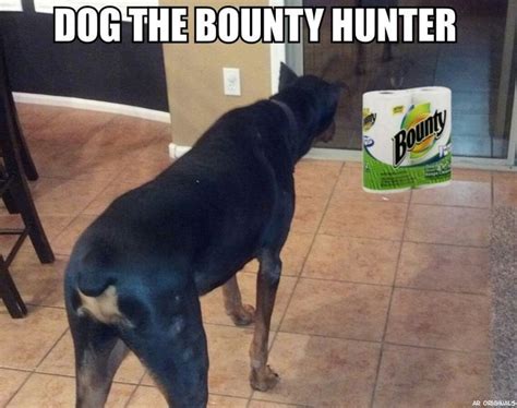 Dog The Bounty Hunter came into my house. : r/funny