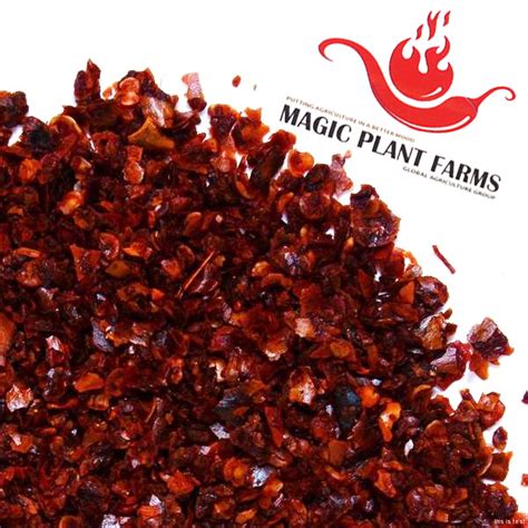 Aleppo Pepper Flakes 1kg (2.2lb) | Aleppo Chili Flakes