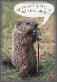 Silly Sunday ~~~ Groundhog Day Edition