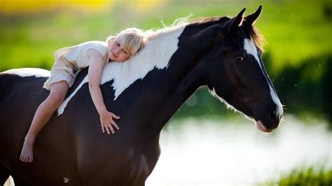 horse + child - Google Search | Horses, Baby horses, Pony rides