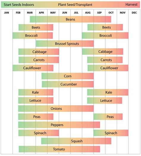 Arizona Vegetable Gardening Calendar