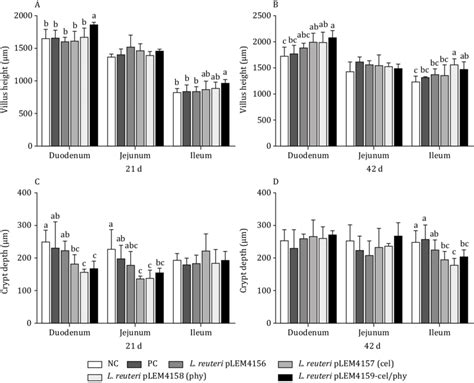 -Effects of transformed L. reuteri strain supplementation on intestinal ...