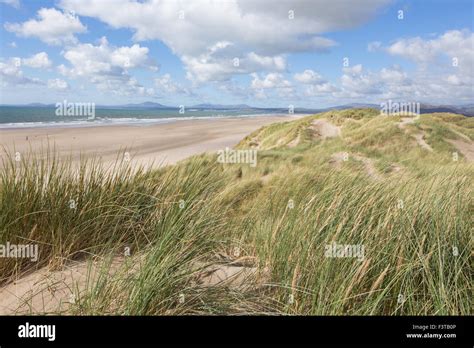 Harlech Beach from the sand dunes, Harlech, Gwynedd, Wales, UK Stock ...