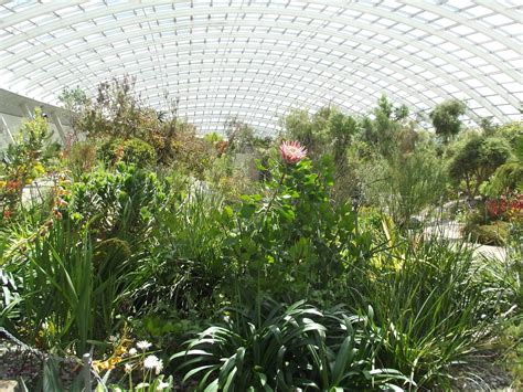 Great Glasshouse - National Botanic Garden of Wales | Flickr