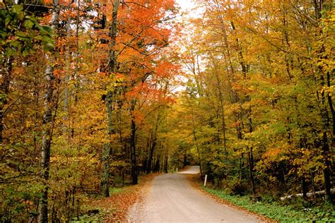 Free Fall pic - Vermont country road Stock Photo - FreeImages.com