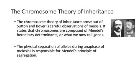 Chromosome theory of inheritance