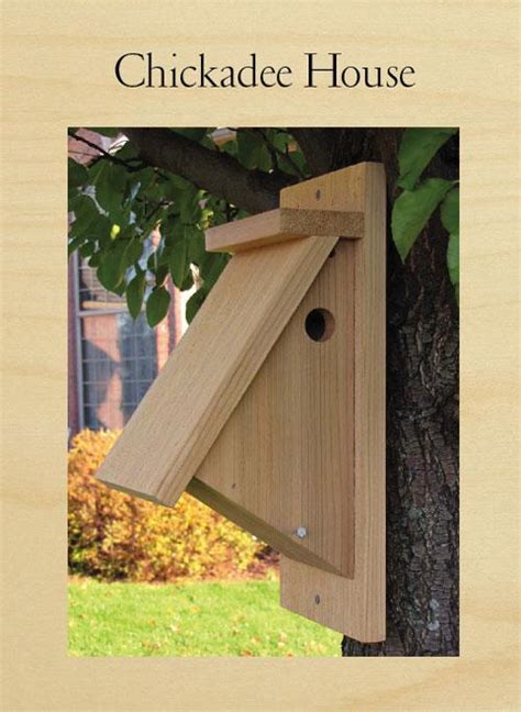 Chickadee Birdhouse | Woodworking Project | Woodsmith Plans