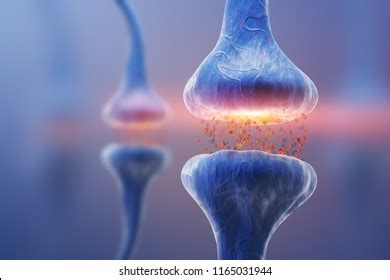 Neuron Synapse Animation