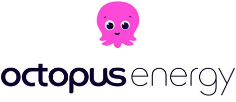 Octopus Energy - Atlantic Council