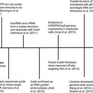 Major components of each CRISPR type a | Download Table