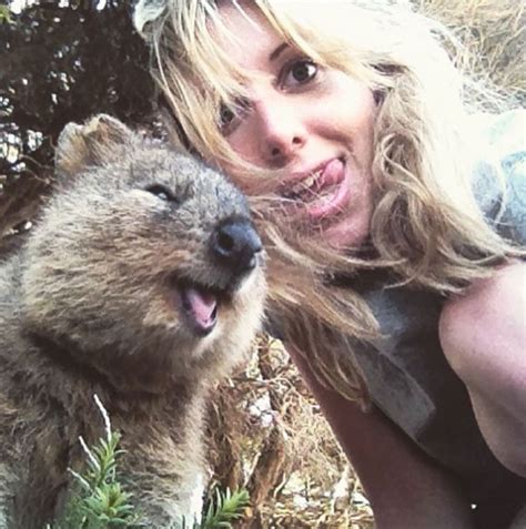 The 'Quokka Selfie'-Just Look At That Grin | Travels And Living