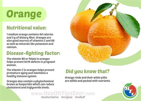 Image result for orange fruit infographic