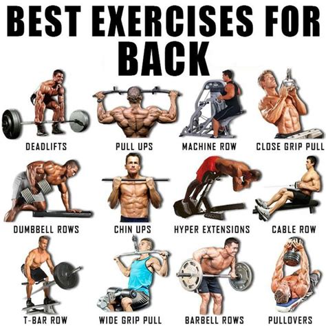 Lower Back Muscles Workout - 5 No-Equipment Back Exercises - Daily Burn - When working the lower ...