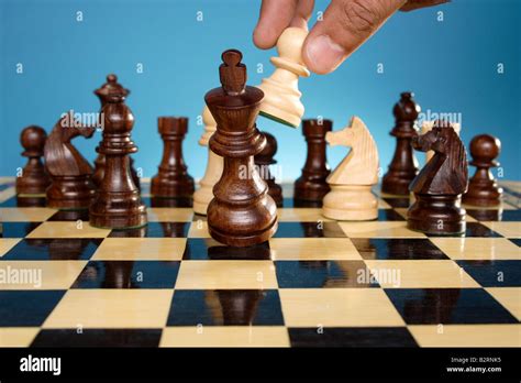 Chess game-Checkmate Stock Photo, Royalty Free Image: 18961577 - Alamy