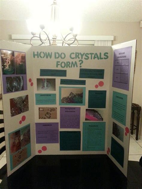 Pin by Jennifer Colangelo on School stuff | 3rd grade science projects ...