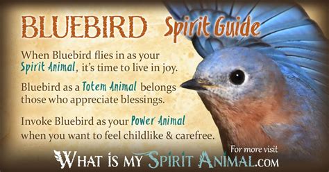 Bluebird Symbolism & Meaning | Bluebird Spirit, Totem, & Power Animal