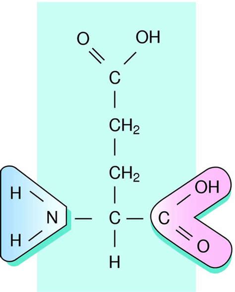 About Health: Methionine