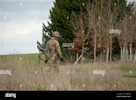 a lone British army infantry soldier walking towards woodland Stock Photo - Alamy