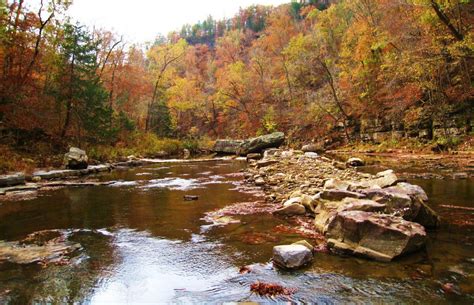 Ozarks Highland Trail (Richland to Woolum) | Hiking spots, Ozark ...