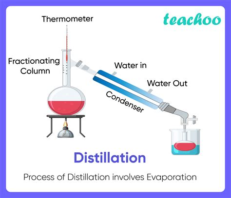 11+ Examples of Evaporation in our daily life (Explained!) - Teachoo