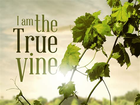 The Vine and the Branches (John 15:1-8) - Redeeming God