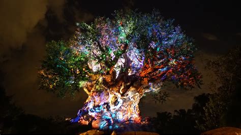 Disney World | Animal Kingdom Night Time Show | Tree of Life Awakenings 4k HD | FL Attractions ...