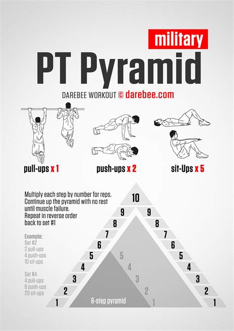 Free files download: Muscle and strength pyramid nutrition pdf download