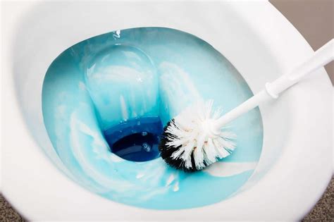 How to Clean a Toilet Like a Pro - The Organized Mom