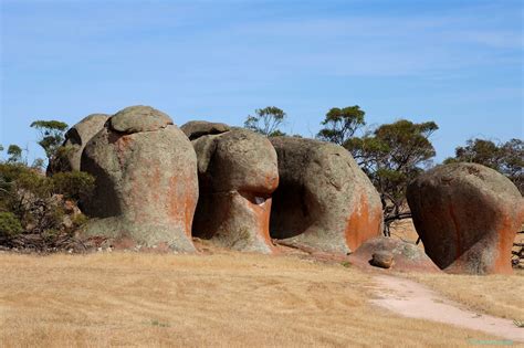 Can Go Around Australia: Streaky Bay, SA.