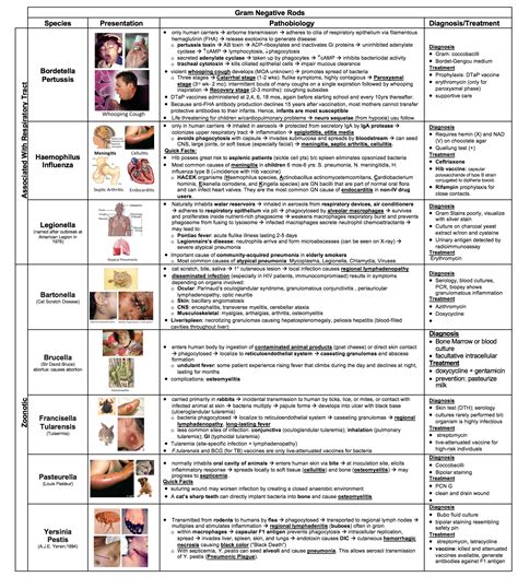 Gram Negative Rods Bacteria List