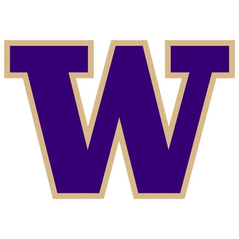 Washington Huskies 2024 Football Stats - Randa Salaidh