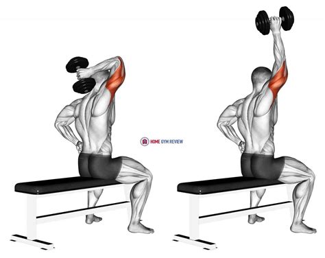 Dumbbell One Arm Triceps Extension (on bench) - Home Gym Review