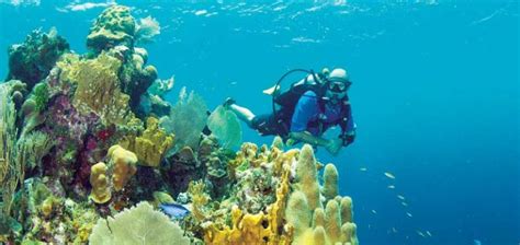 Exploring The Honduran Island Of Guanaja - Dive Training Magazine