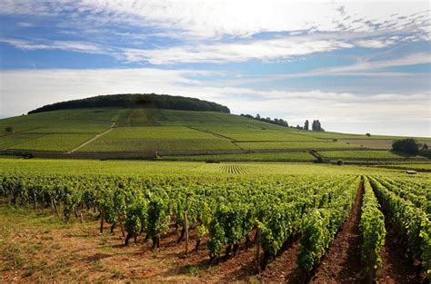 Prices for top French vineyards rise again in 2018 | Wines & Travel News