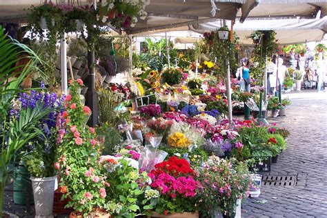 Campo dei Fiori Market: The "Field of Flowers" - Rome Travel Guide ...