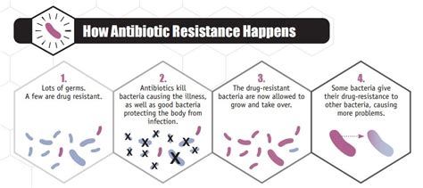 Deadly Antibiotic Resistance Evolution | Answers in Genesis