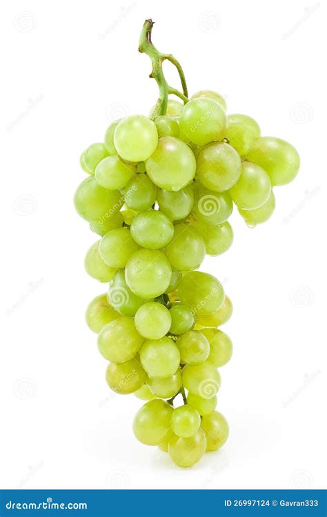 White grape stock photo. Image of snack, dieting, food - 26997124