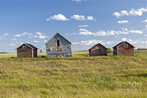 Quill Lake Saskatchewan Granaries Photograph by Rick Pisio - Pixels