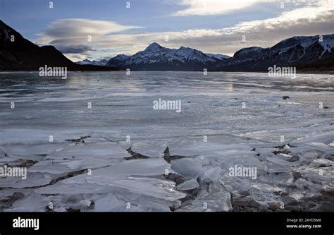 Abraham Lake Winter Stock Photo - Alamy