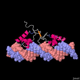 Lac repressor - Proteopedia, life in 3D