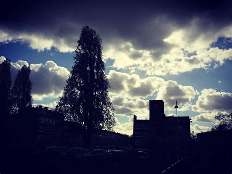 Tree and buildings contrasted against the sky #amsterdam #… | Flickr