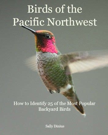 Birds Of The Pacific Northwest: How To Identify 25 Of The M ...