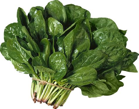Salad PNG image