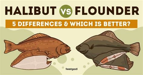 Halibut vs. Flounder: 5 Differences & Which Is Better? - FeastGood.com