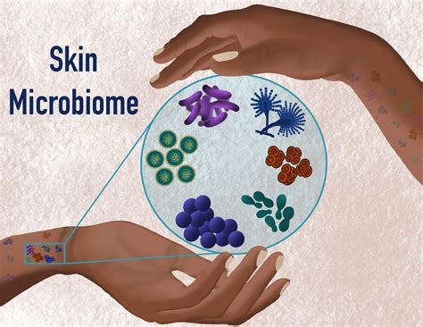 How To Nurture Your Skin Microbiome: Dr. Julie O’Sullivan - Joyful Microbe