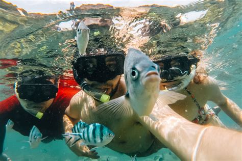 Snorkeling in Malaysia, Perhentian Islands {Video} - Sommertage