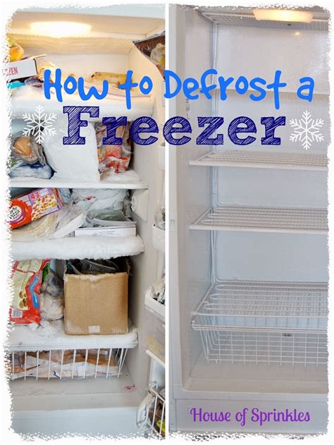 10 Fridge And Freezer Organization Tips That Will Make Life Easier - Craftsonfire