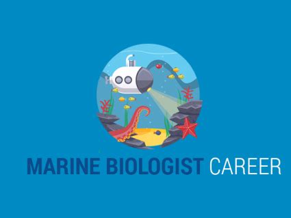 Marine Biologist Career: What Do Marine Biologists Do? - Earth How