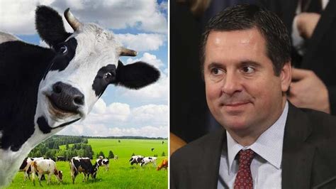 Devin Nunes Cow Lawsuit Dismissed | Know Your Meme