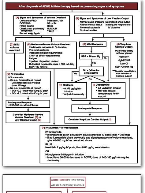 Figure 3 from ACUTE DECOMPENSATED HEART FAILURE : NOVEL APPROACHES TO CLASSIFICATION AND ...